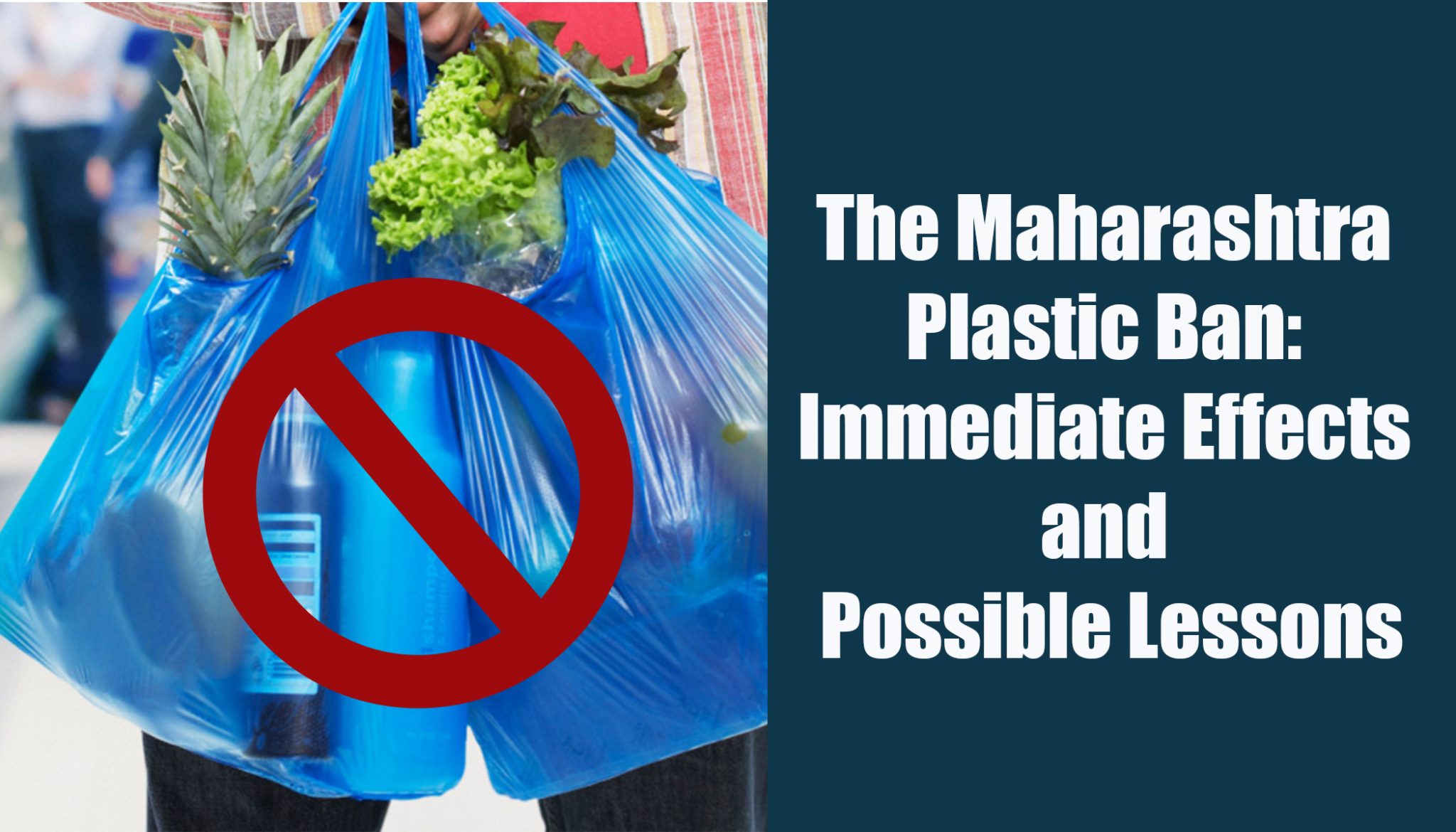 The Maharashtra Plastic Ban: Immediate Effects and Possible Lessons
