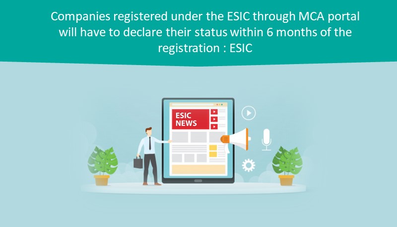 Companies registered under the ESIC through MCA portal will have to declare their status within 6 months of the registration : ESIC