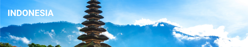 Indonesia regulatory environment